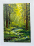Serene Forest