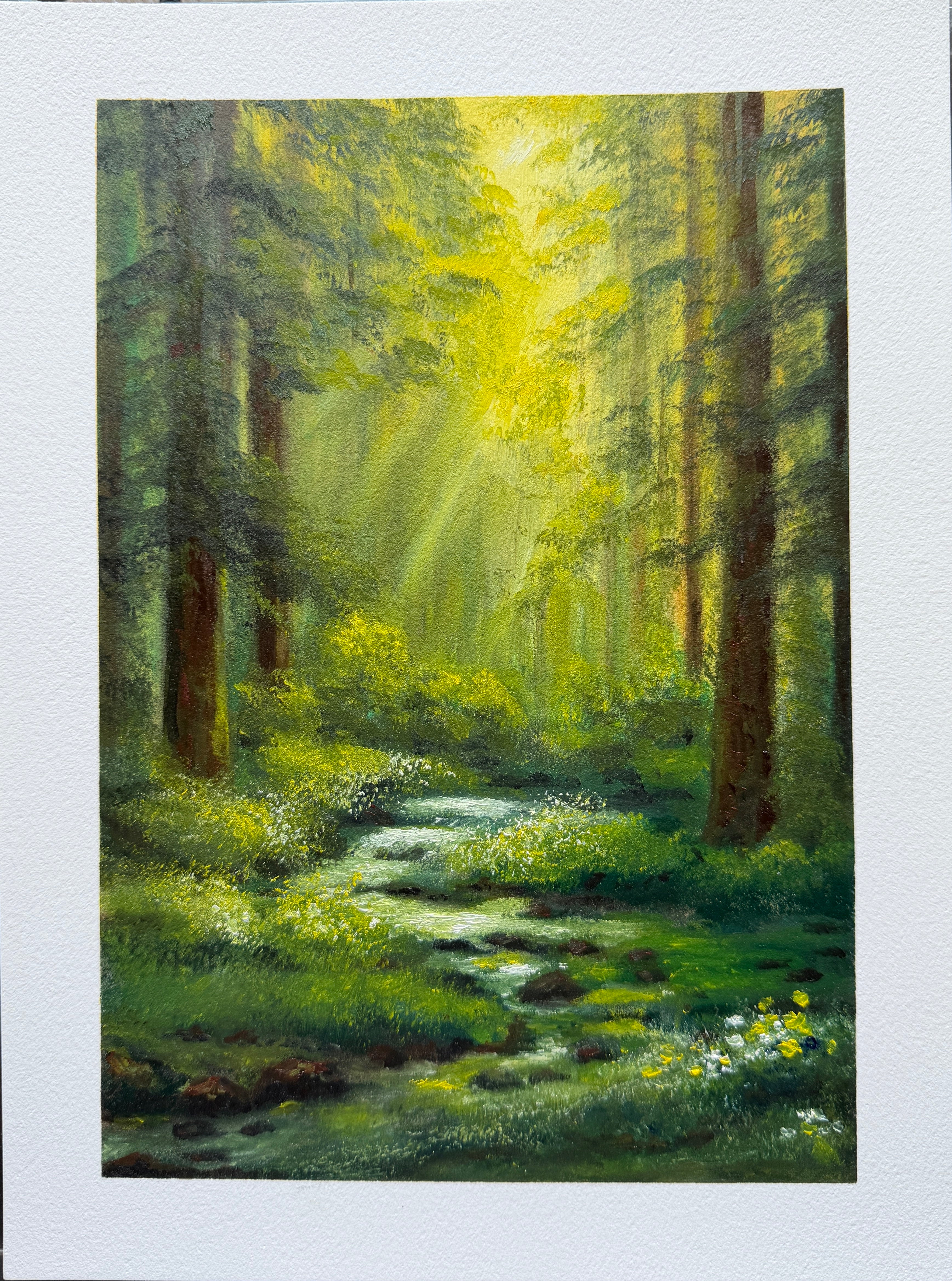 Serene Forest