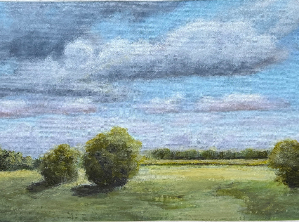 Meadows