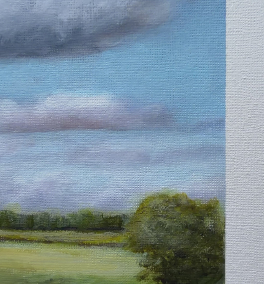 Meadows