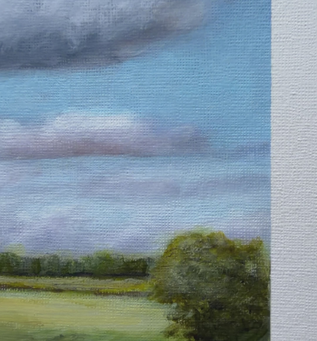Meadows